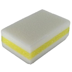Sponges